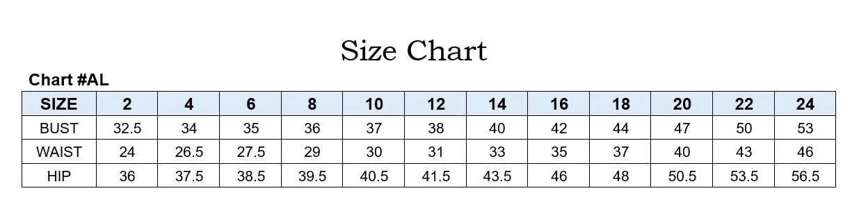 A-Line Layered Tulle Skirt Embroidered Bodice Long Prom Dress CDA1236