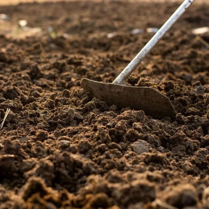 Cow Dung Organic Fertilizer