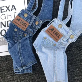 Dog Denim Spring and Autumn All-match Pet Clothes Jumpsuit
