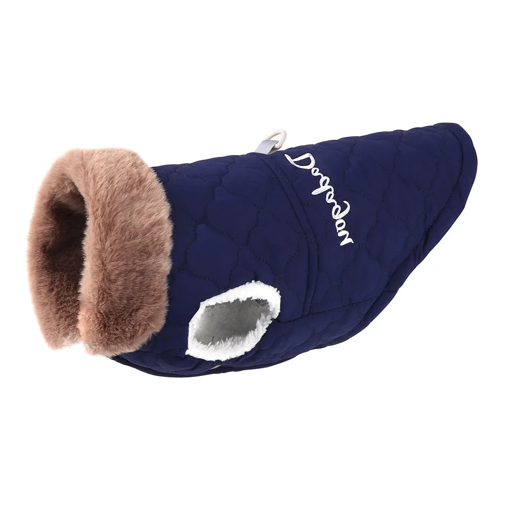 Doggies Merch®  Waterproof Winter Coat