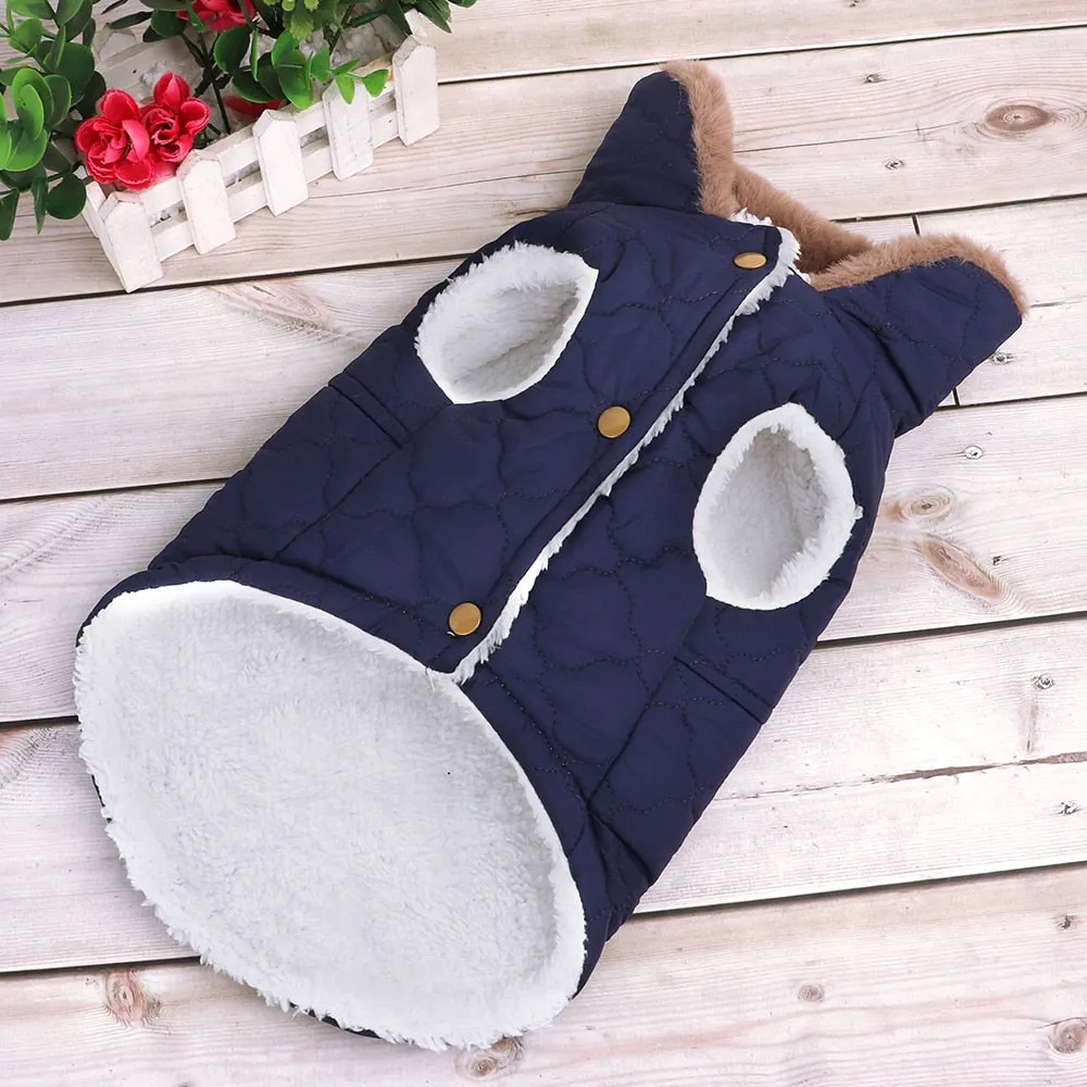 Doggies Merch®  Waterproof Winter Coat