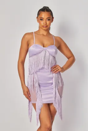 Lisa Fringe Bodycon Contrast Satin Mesh Mini Dress