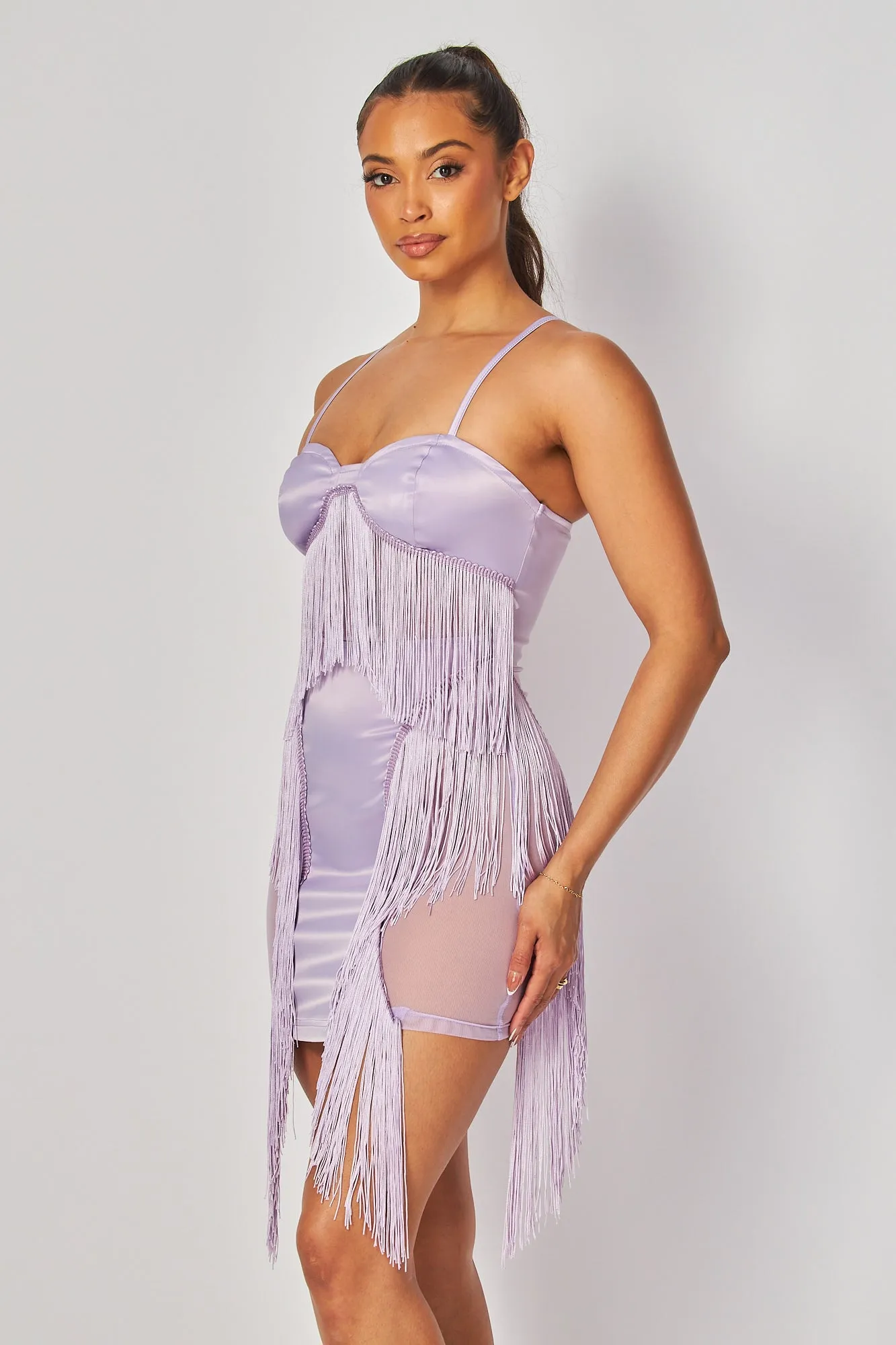 Lisa Fringe Bodycon Contrast Satin Mesh Mini Dress
