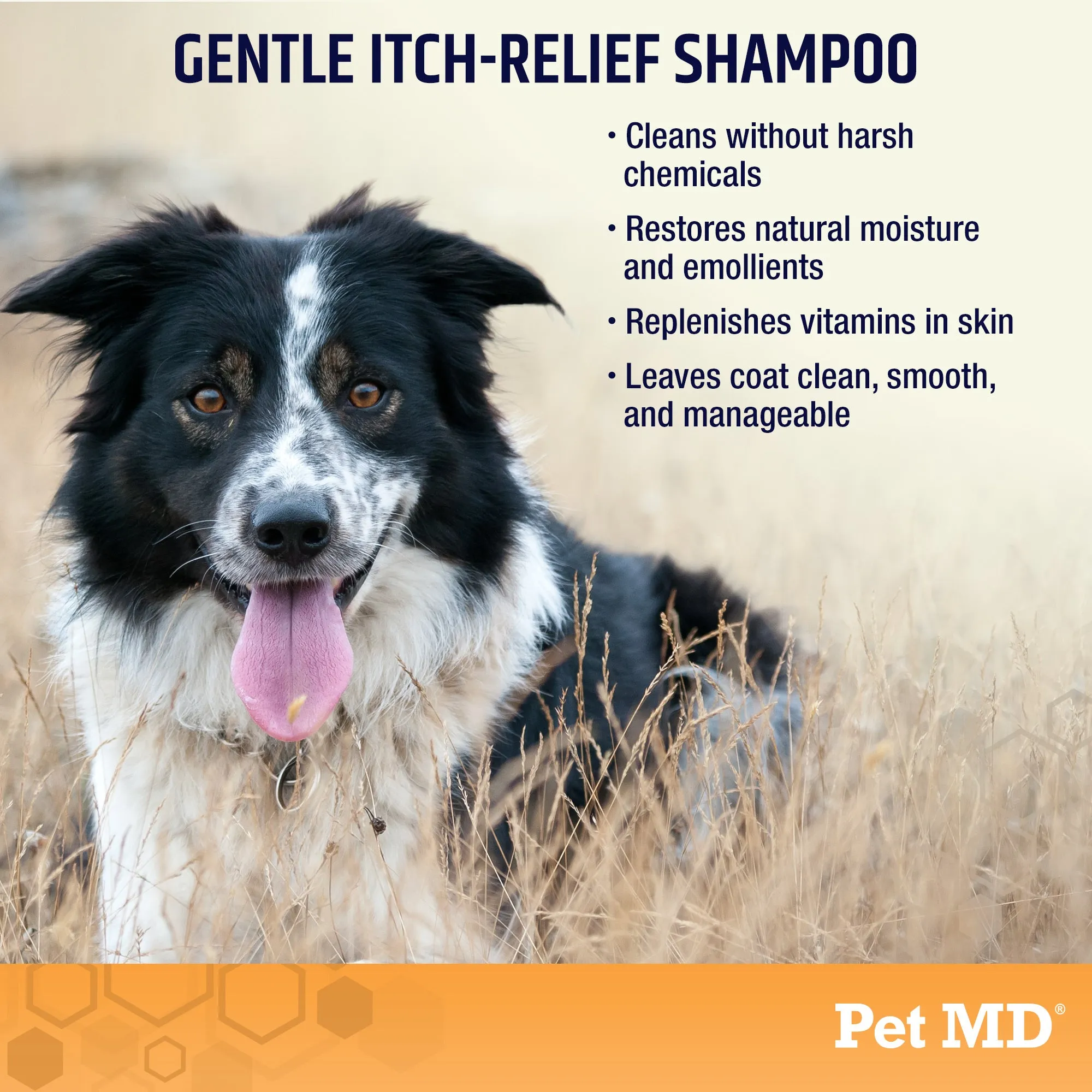 Oatmeal & Aloe Itch Relief Shampoo for Dogs & Cats - 16 oz