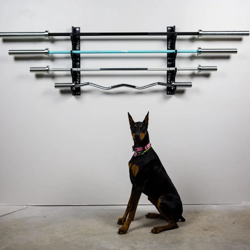 PRx Horizontal Barbell Storage