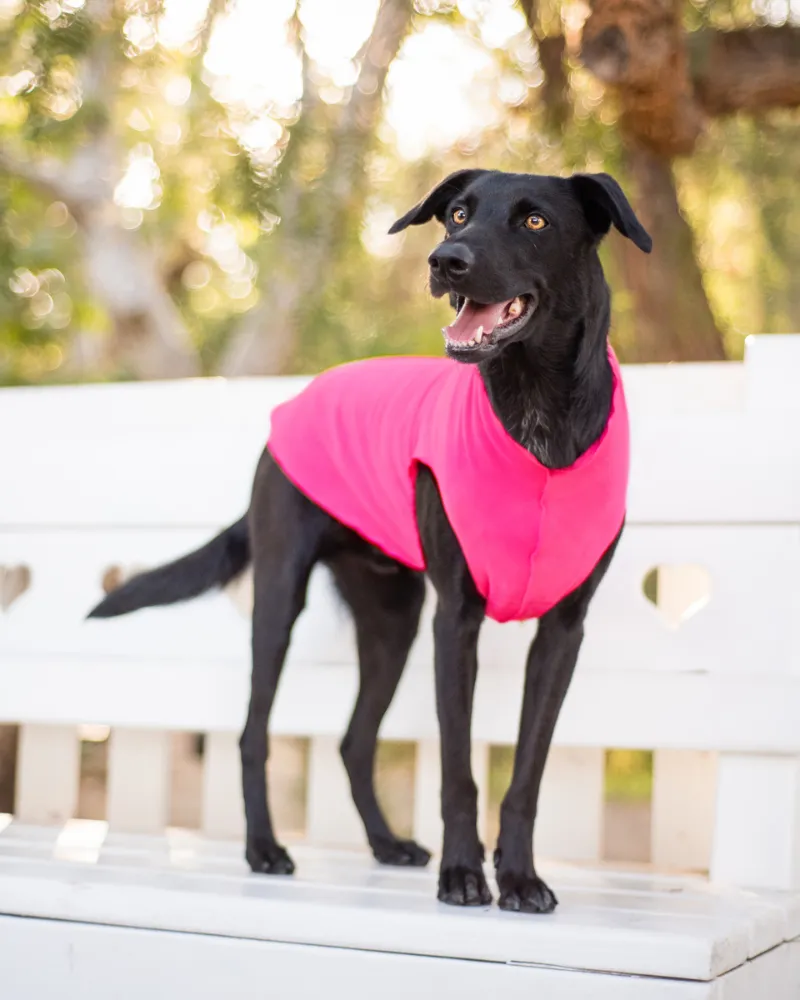 Pullover Stretch Dog Fleece in Neon Pink (Made in the USA)