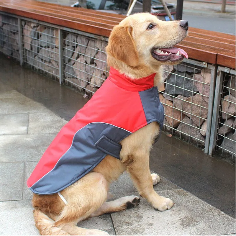 Waterproof Winter Jacket for Small, Medium & Large Dogs