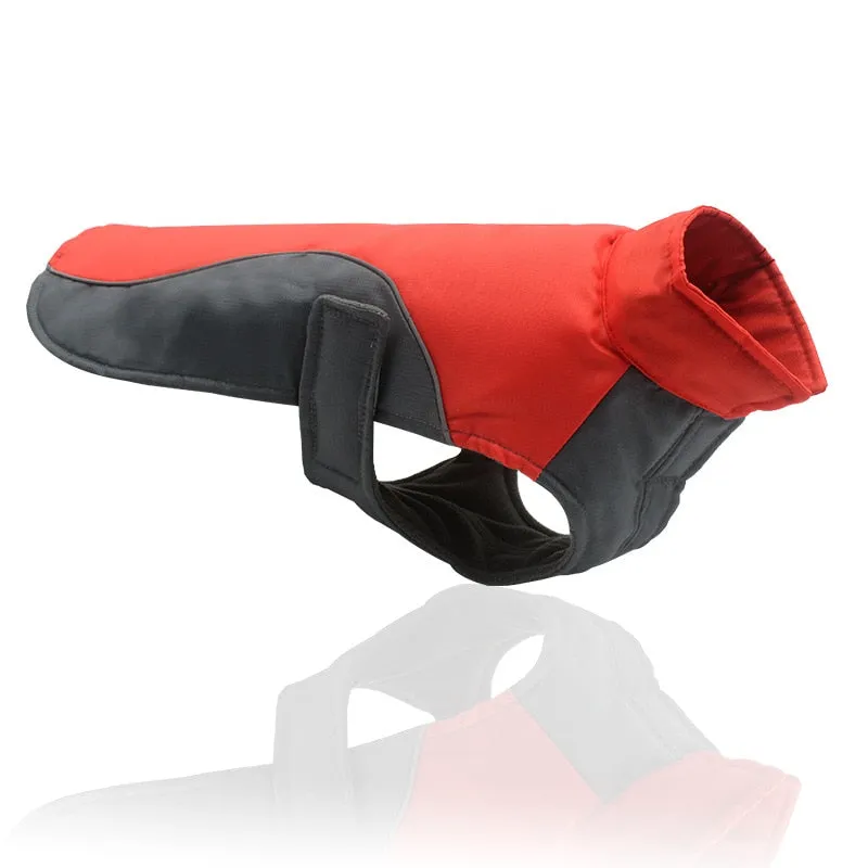 Waterproof Winter Jacket for Small, Medium & Large Dogs