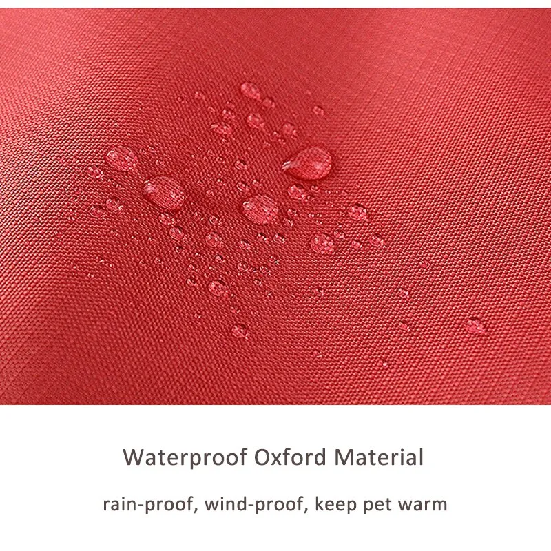 Waterproof Winter Jacket for Small, Medium & Large Dogs